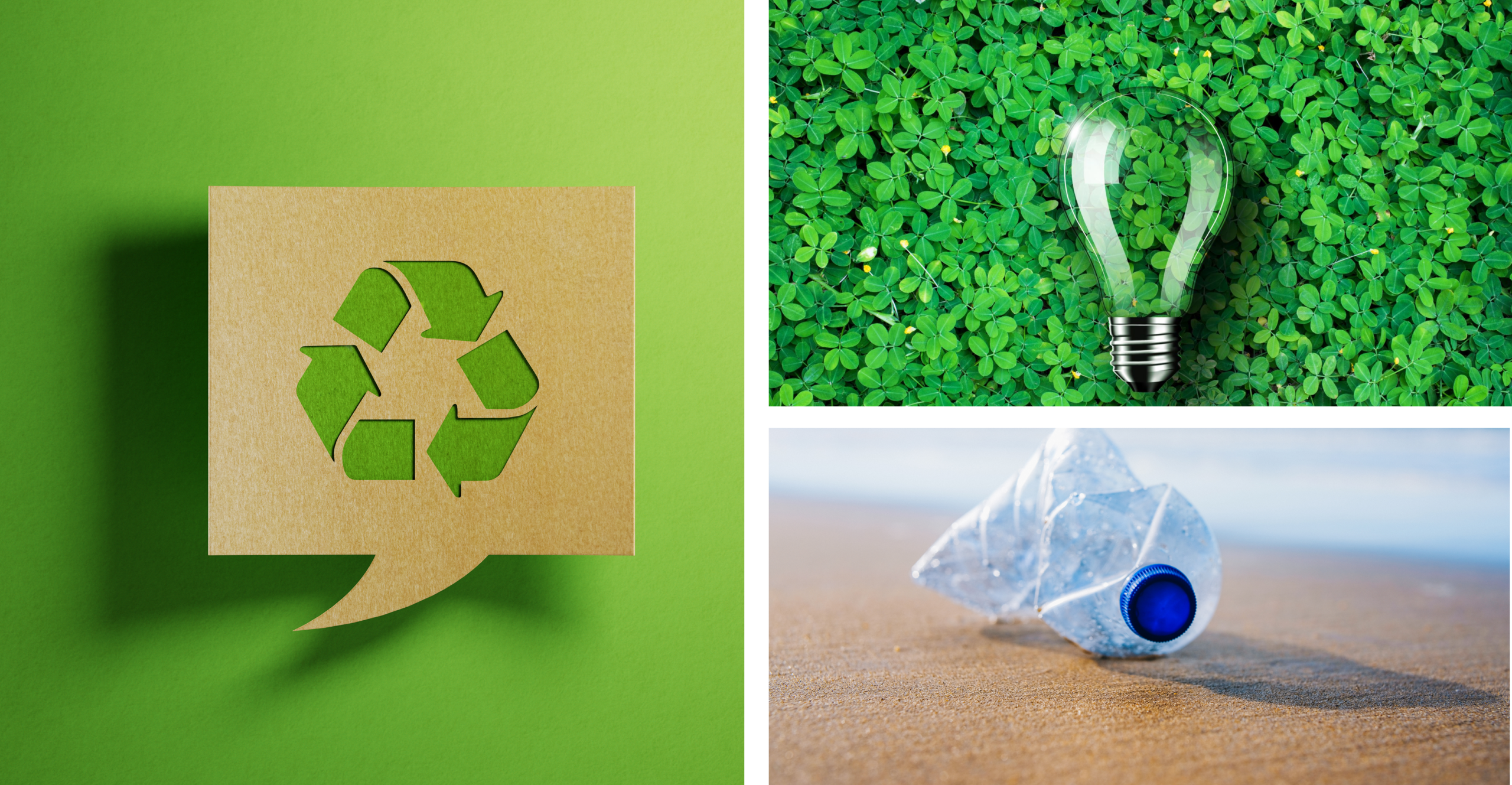 Recycle and Sustainable operations.
